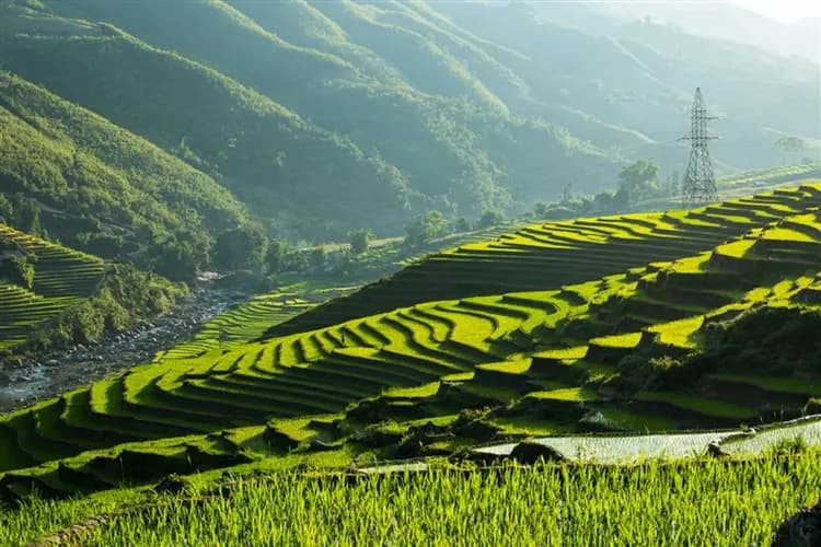 越南旅遊｜【沙壩仙境五星5日】梯田健行.番西邦纜車.雲霧玻璃天空步道.鐵道雞蛋咖啡.夜臥火車體驗(早午/含簽)