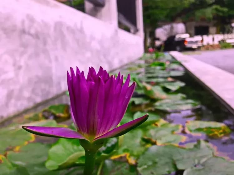 Check-in/check-out kiosk