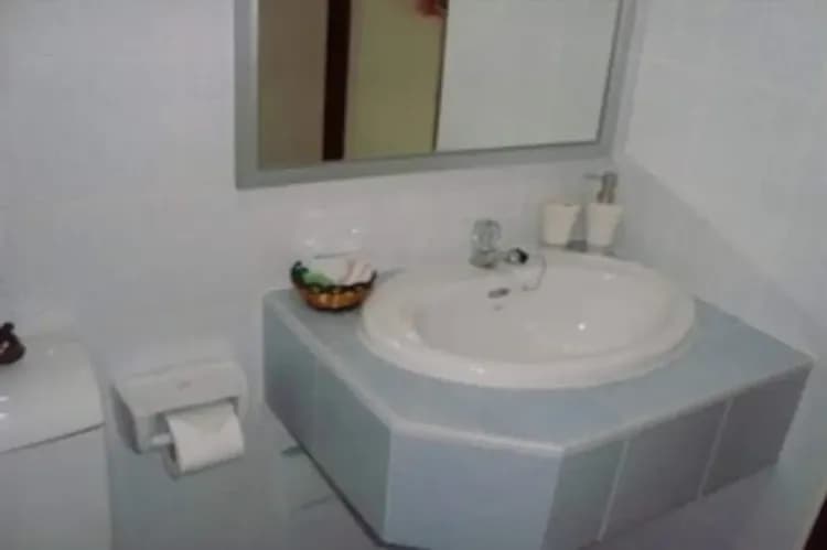 Bathroom sink