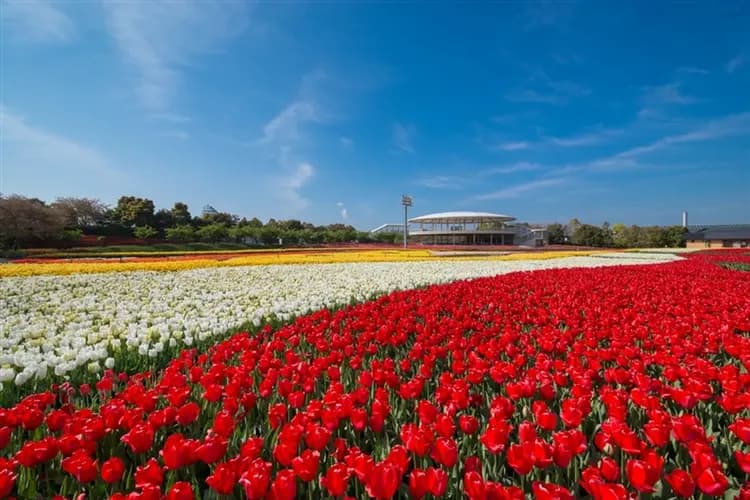 限量入住白川鄉一晚・結之庄～立山黑部雪牆｜賞花名所~名花之里.上高地輕健行.童話合掌村.兼六園.高山飛驒牛.雙溫泉五日