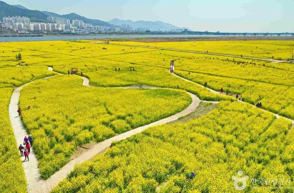 大渚生態公園