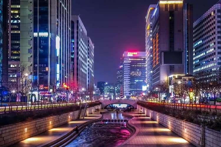 花現首爾｜春櫻療癒之旅～石村湖_汝矣島櫻花隧道_昌德宮．樂天賞櫻雨．遠美山杜鵑．南山炸櫻晴(一站購物彩妝)五日｜高雄-5