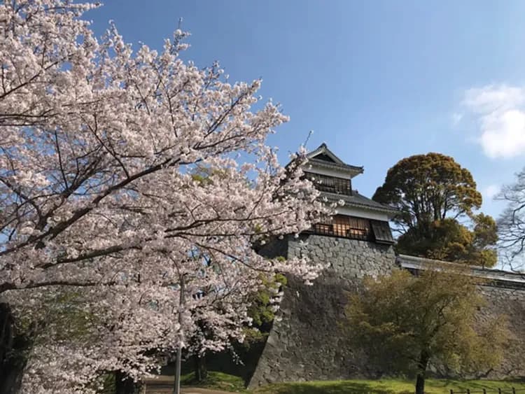 KHH櫻花戀九州～日本百選櫻情、能古島櫻花祭、熊本城水前寺、戀戀雙溫泉六日