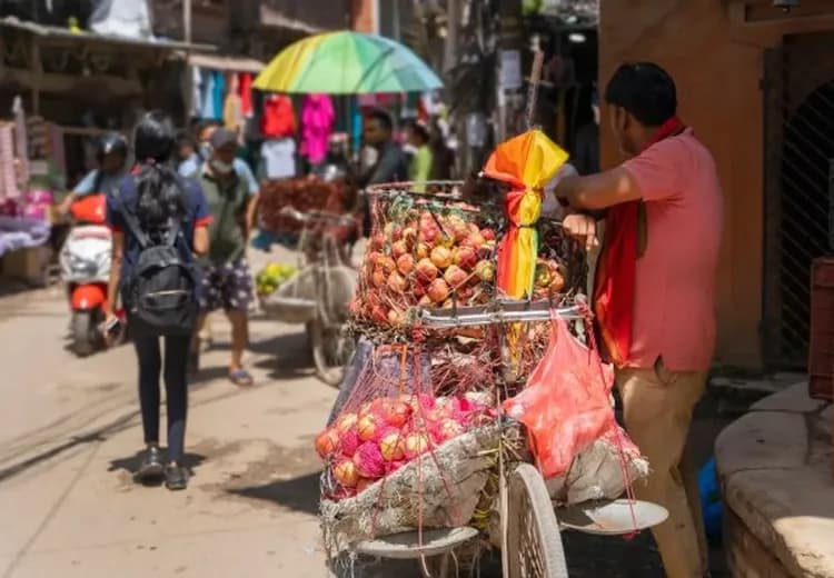 【奇幻尼泊爾、中段搭機】奇旺國家公園、兩大生態體驗、三大杜巴廣場、四晚五星飯店九日-10