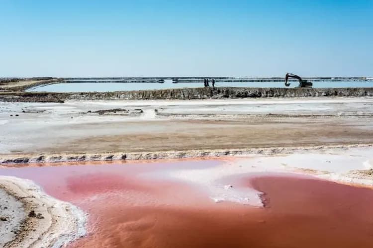 途經拍照-吉利特鹽湖