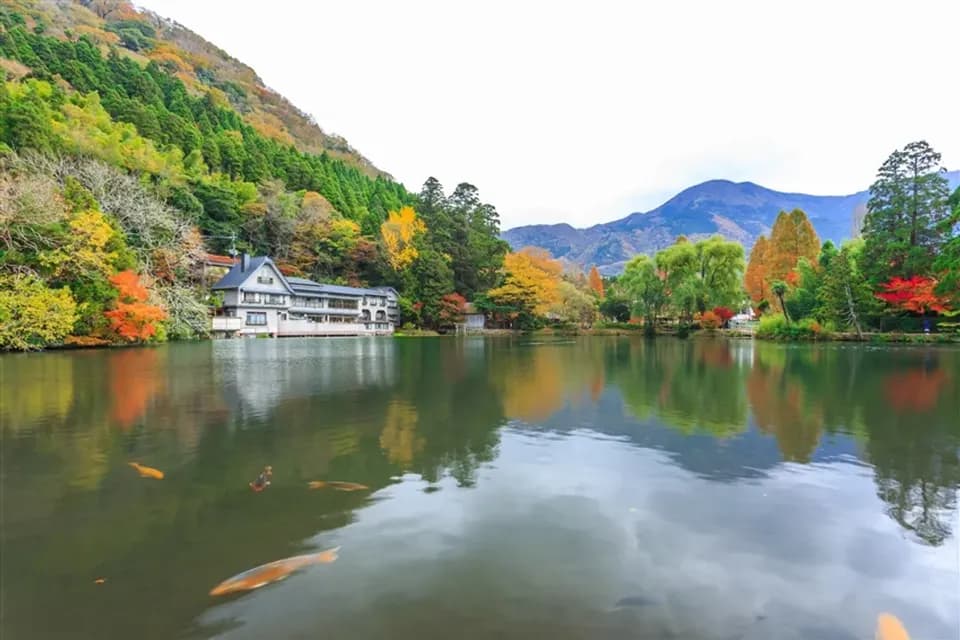 限定九州旅遊｜無自理餐|人氣鐵道.長腳蟹吃到飽.雙溫泉五日｜保住一晚五星-1