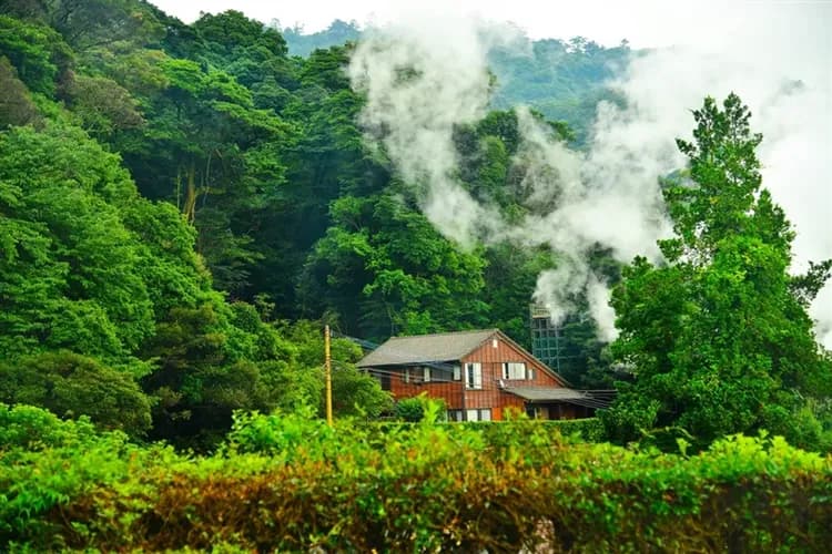 三零深度九州｜南北全覽.特色玉手箱列車．指宿沙浴．仙巖園．日南摩艾．湯布院~金鱗湖．三大蟹．四晚溫泉八日【高雄直飛】-18