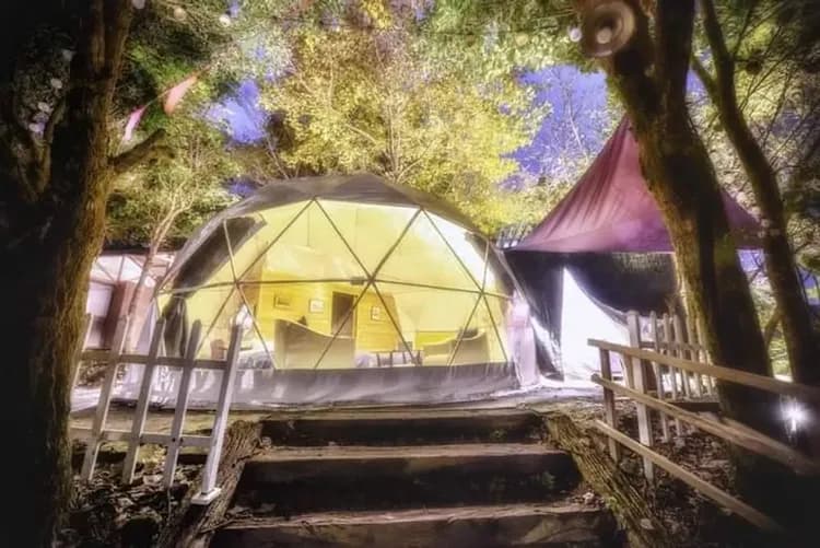 四人森林星空球帳(帳內有衛浴)