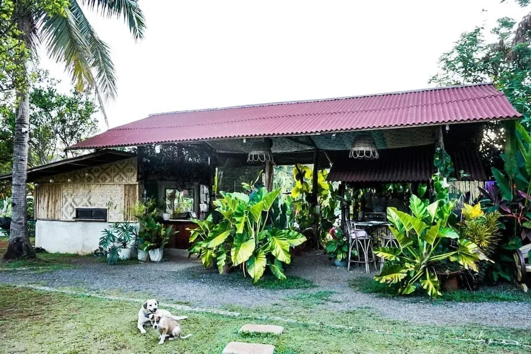 Palawan Province-Banlaw Pool & Garden