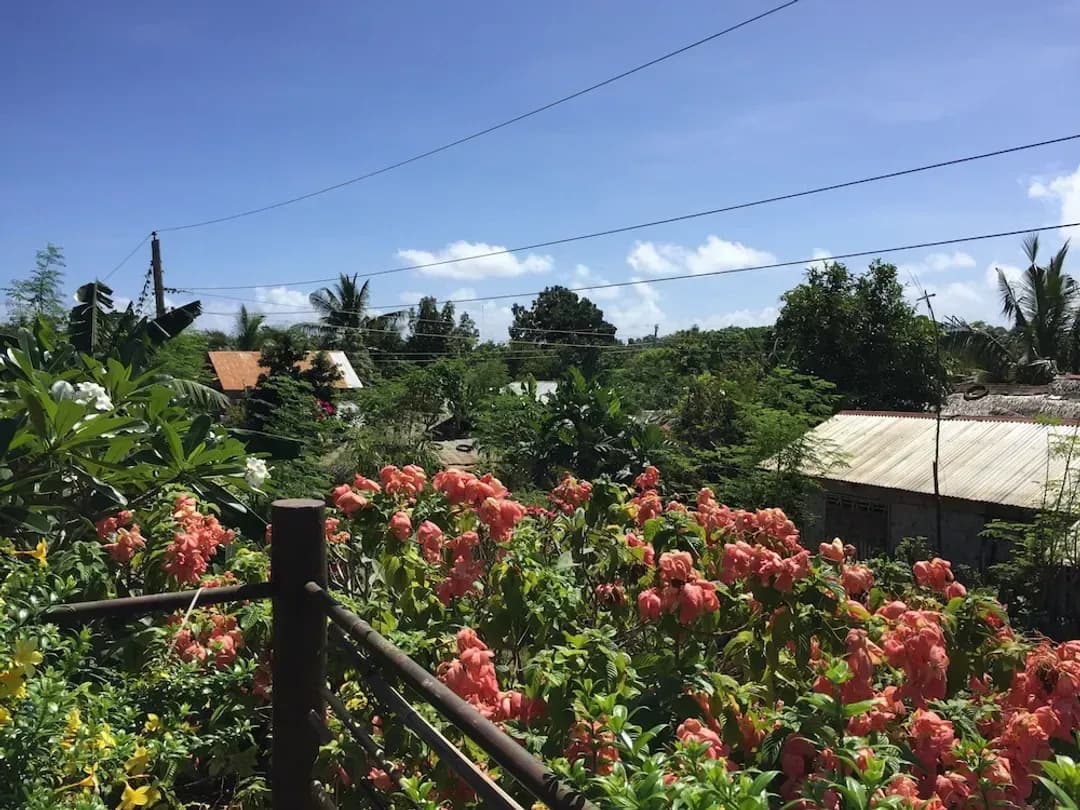 팔라완 주-더 빌리지 하우스