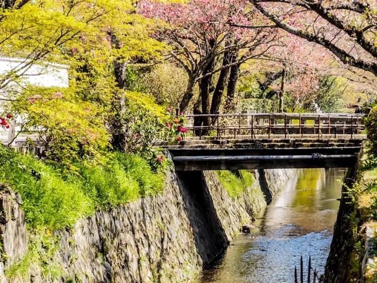 春櫻關西｜賞櫻名所~清水寺.醍醐寺.哲學之道.錦市場.森林花園.採果體驗.環球影城五日