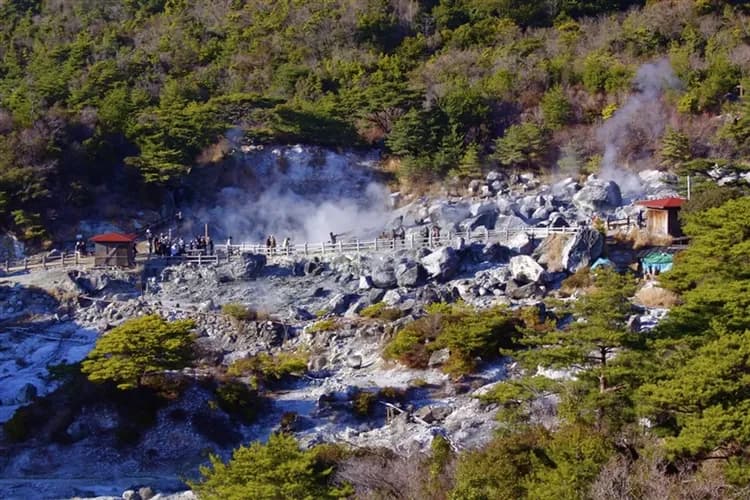 九州旅遊|天草賞海豚.由布院之森.南阿蘇雙鐵道.稻佐山斜坡車.別府溫泉五日