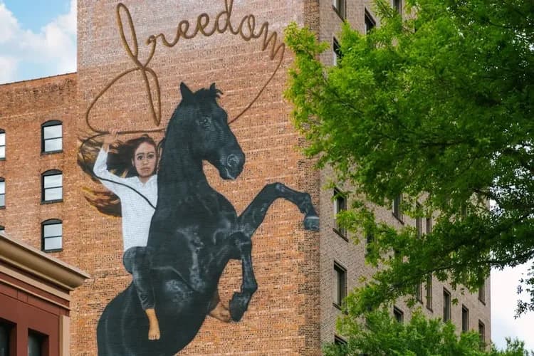 Reside Houston Dwntwn, Wyndham-2