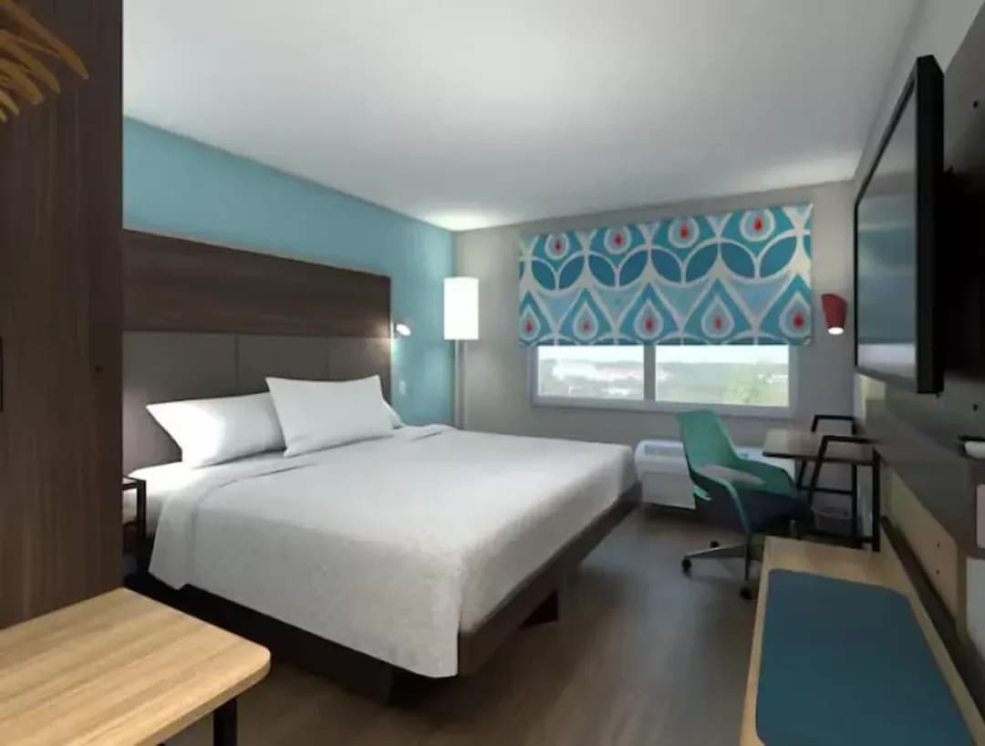 ハリス郡-トゥルー バイ ヒルトン ヒューストン ダウンタウン コンベンションセンター