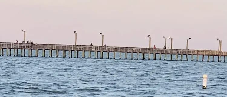 Children's activities