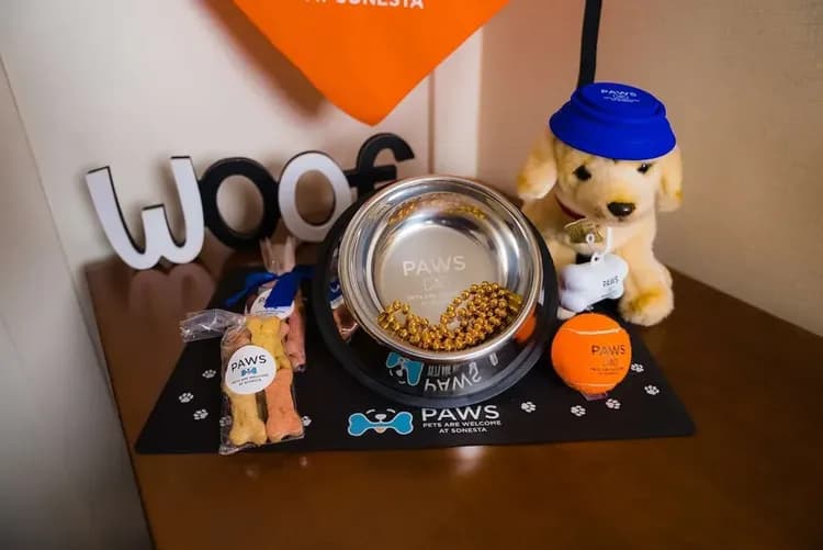 Pet-friendly amenities