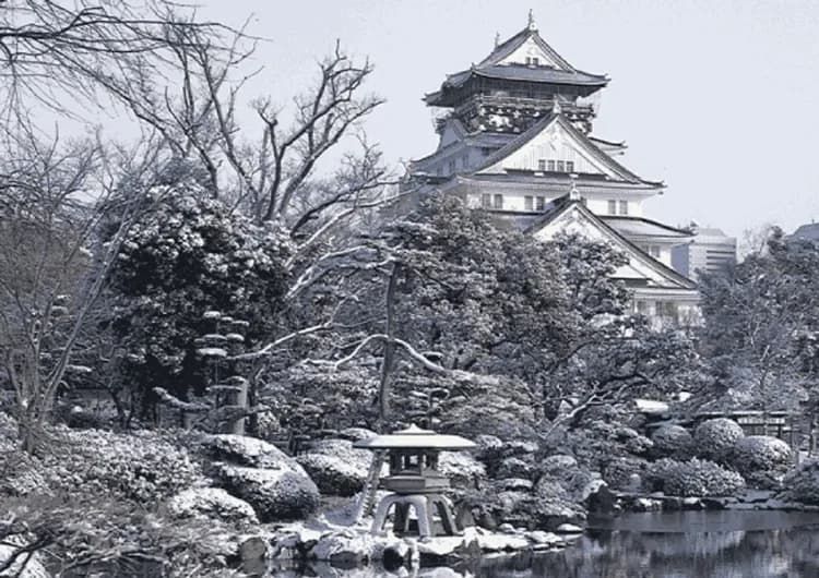 萬歲關西瑪利歐～日本環球影城、六甲山戲雪樂園、藝術水族館、愛戀三都物語五日