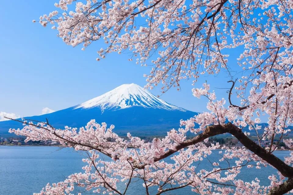 【東京出發】富士山、大石公園和時令水果採摘一日遊｜中英文導遊｜1人成團-4