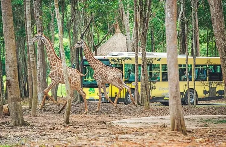 愛戀富國島~胡志明閒情趣、珍珠雙樂園、跳島海景纜車、五星海景渡假村五日-10