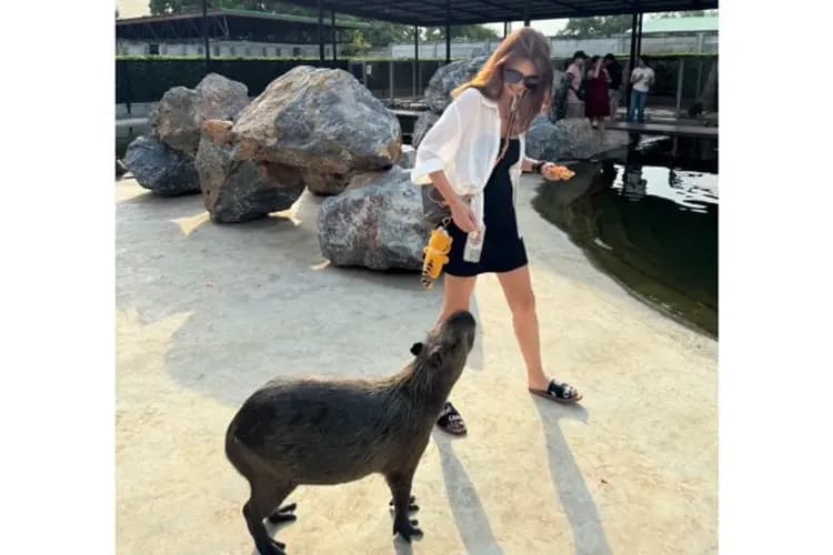 大城動物園(動物表演秀+水豚餵食體驗)