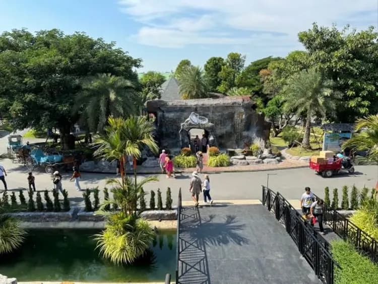 大城動物園(動物表演秀+水豚餵食體驗)