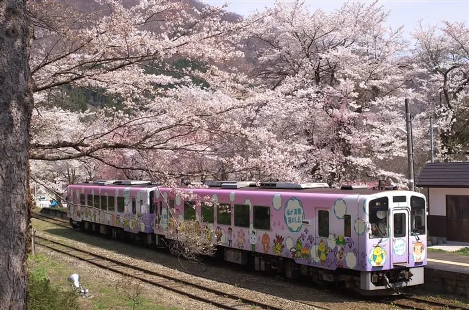 東北旅遊｜無自理餐｜櫻花百選～三春瀧櫻.置賜櫻花回廊.會津城.會津鐵道.足利花卉公園.新幹線.溫泉美食五日｜高雄東京來回-1