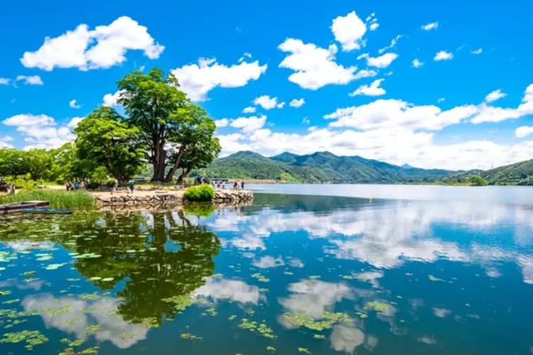 KHH韓國好威～星空圖書館、南怡島韓屋村、世界最大咖啡館、乙晚四星飯店五日