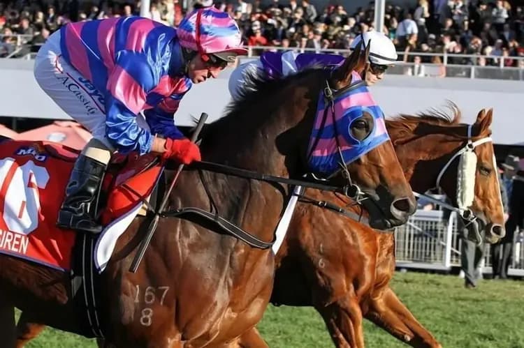 퀘스트 애스컷-16