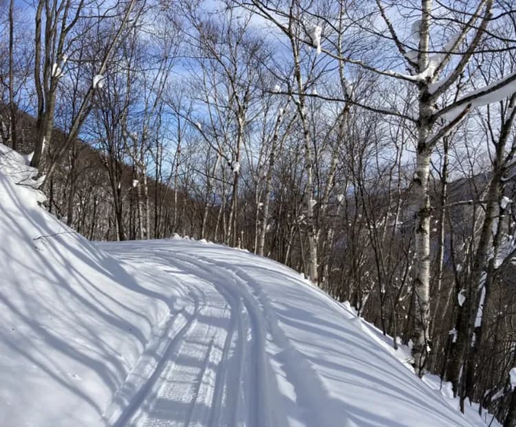 【井伊滑雪】札幌國際雙版滑雪 雪上摩托車 炭火燒BBQ 定山溪溫泉2日-6