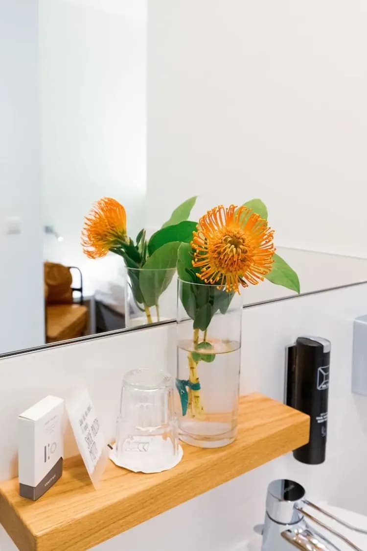 Bathroom amenities