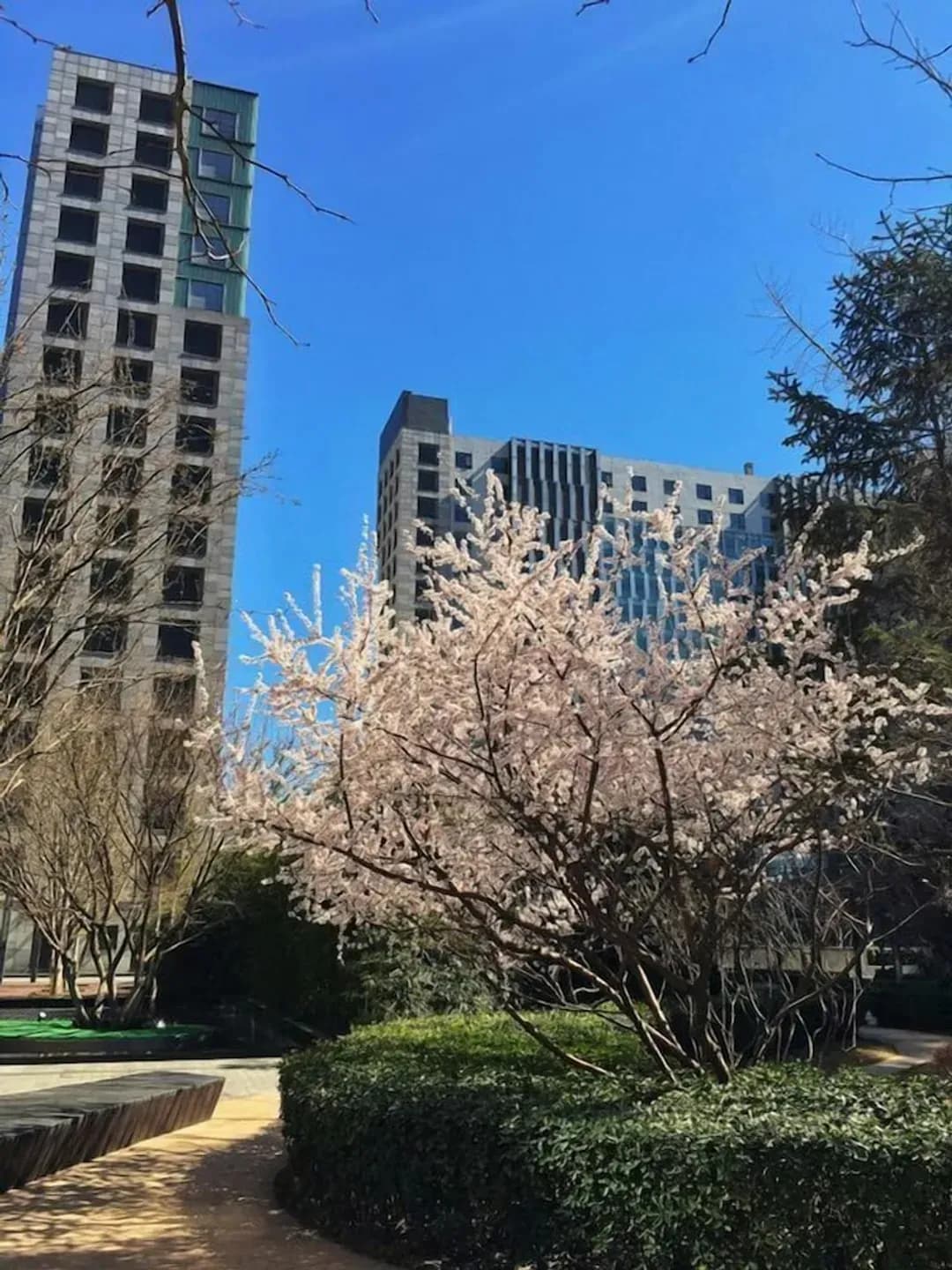 北京市（ペキン市）-北京イレジア アパートメント