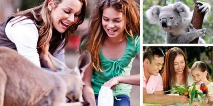 庫倫賓野生動物園