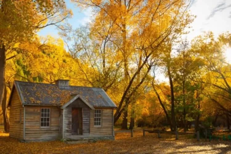 享愛紐西蘭～庫克山國家公園、皇后鎮天際纜車、毛利文化抓龍蝦、米佛峽灣冰河船11日-10