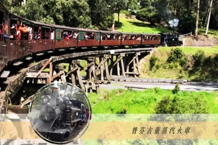 墨爾本奇趣體驗