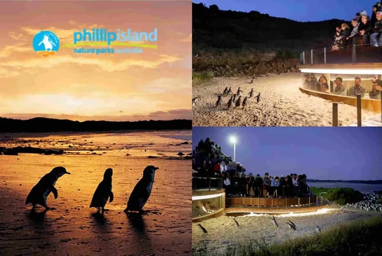 墨爾本奇趣體驗