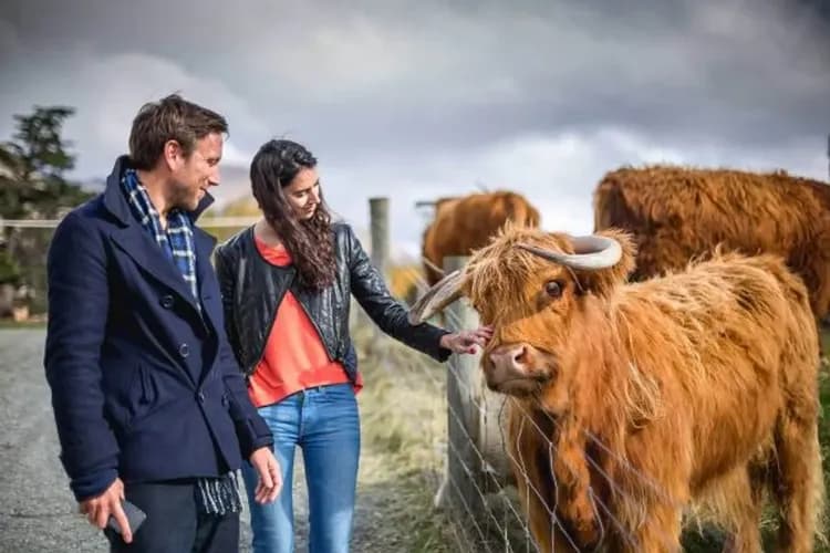 瓦特峰牧場(古董蒸汽船)
