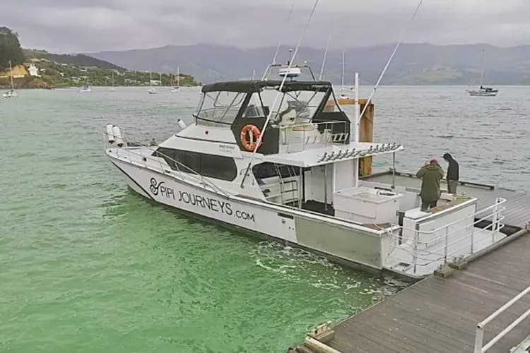 阿卡羅阿(龍蝦船+毛利文化)