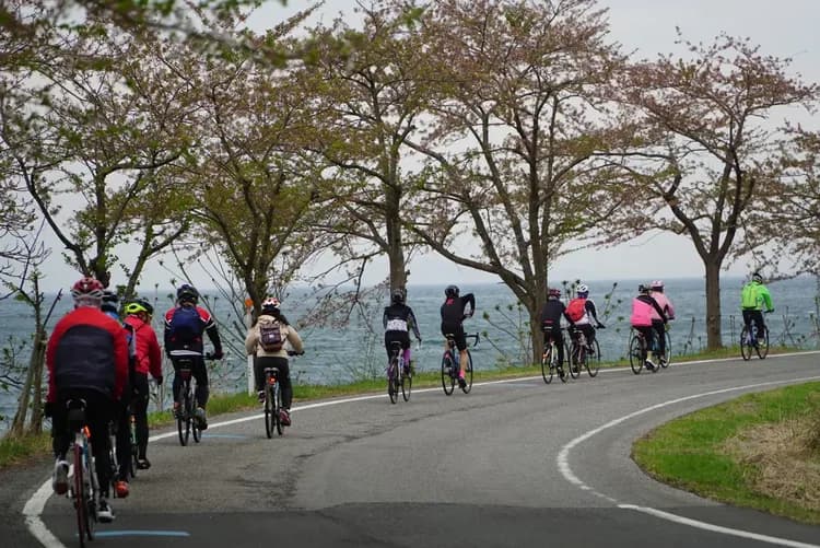 【單車】日本環琵琶湖賞櫻5日_神戶 ★已成團★-7
