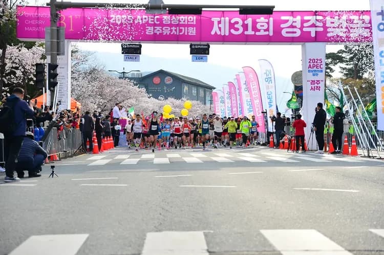 圖片來源https://www.cherrymarathon.co.kr/index.php