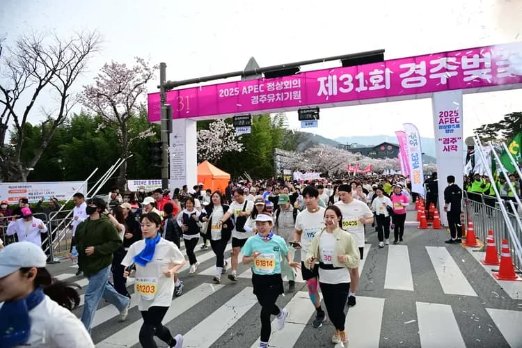 圖片來源https://www.cherrymarathon.co.kr/index.php