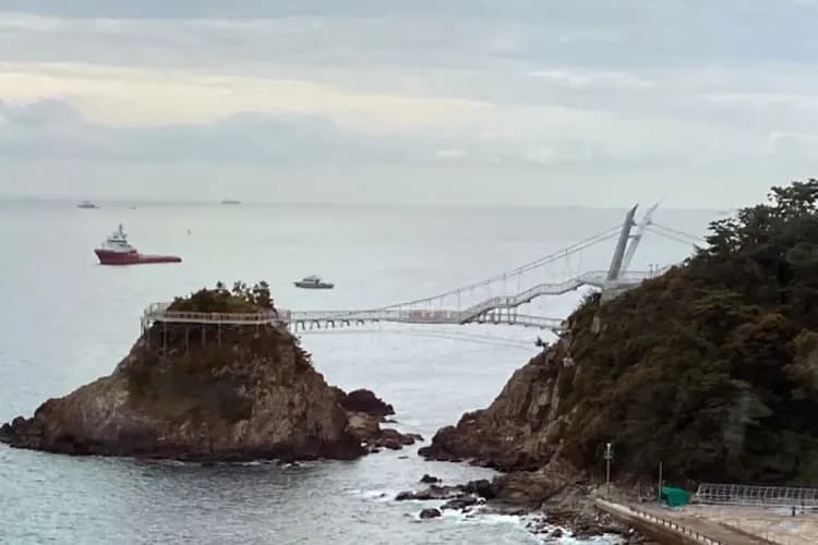 松島龍宮雲橋-松島海上纜車(來回)+龍宮雲橋