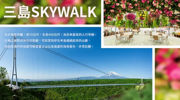 東京旅遊｜十国峠纜車.三嶋大社.三島吊橋.熱海商店街.豐洲千客萬來.橫濱港灣六日｜二晚溫泉｜晚去晚回｜高雄來回-6