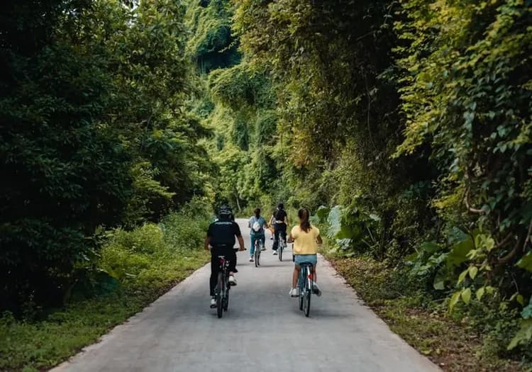 Ambassador Signature Cruise (Lan Hạ)國賓蘭夏灣大使簽名郵輪