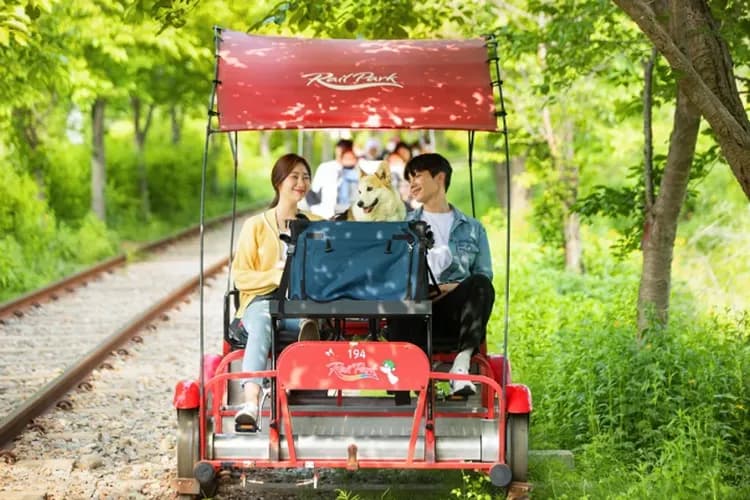 金裕貞鐵路自行車