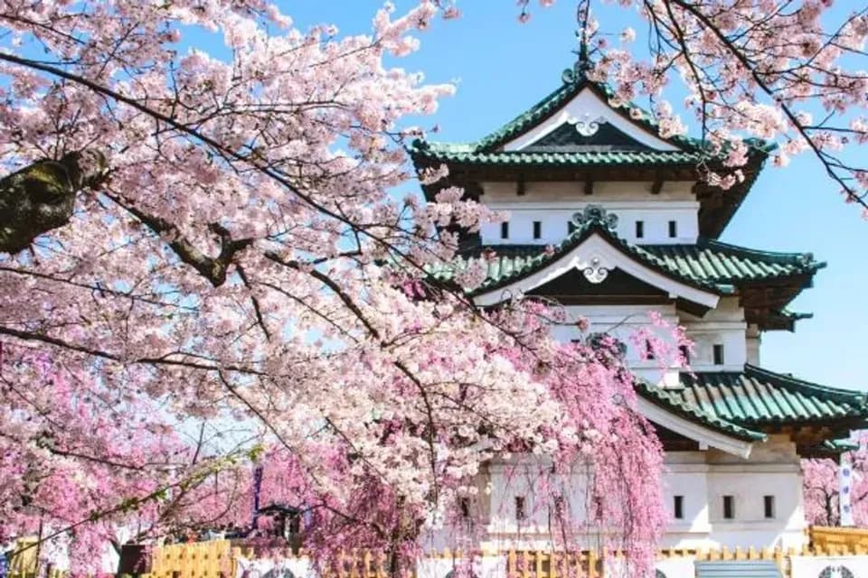 東北櫻花百選～奧入瀨森呼吸、松島銀山溫泉、星野度假村、秋田縱貫鐵道六日-1