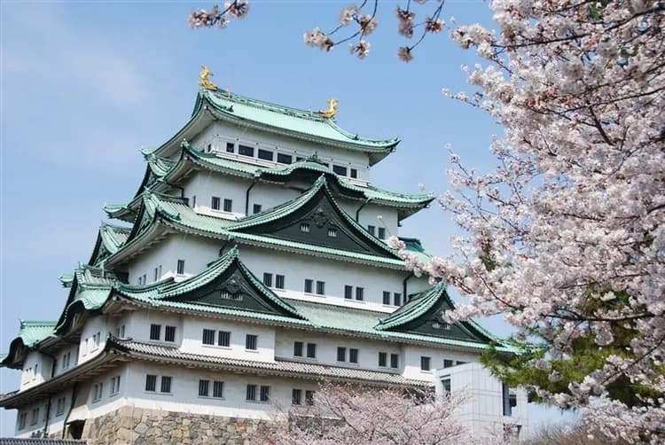 大阪北陸｜親子團｜台灣虎航｜名古屋樂高樂園.模範生點心麵主題樂園.海豚秀.松阪牛壽喜燒.雙溫泉六日｜高雄來回-5