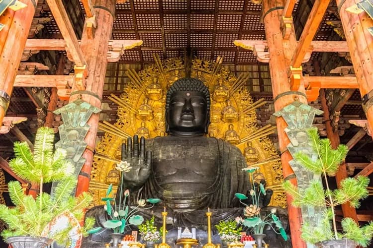大阪北陸｜親子團｜台灣虎航｜名古屋樂高樂園.模範生點心麵主題樂園.海豚秀.松阪牛壽喜燒.雙溫泉六日｜高雄來回