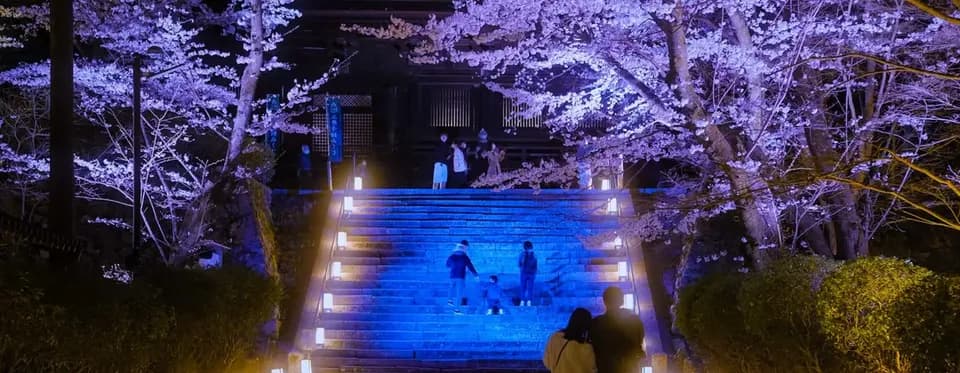 2026 京都 / 大阪出發賞櫻一日遊推薦