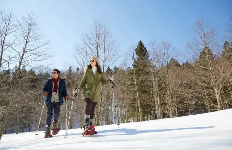 【Club Med全包式假期】Tomamu北海道度假村-冬季｜含機票五天四夜-6