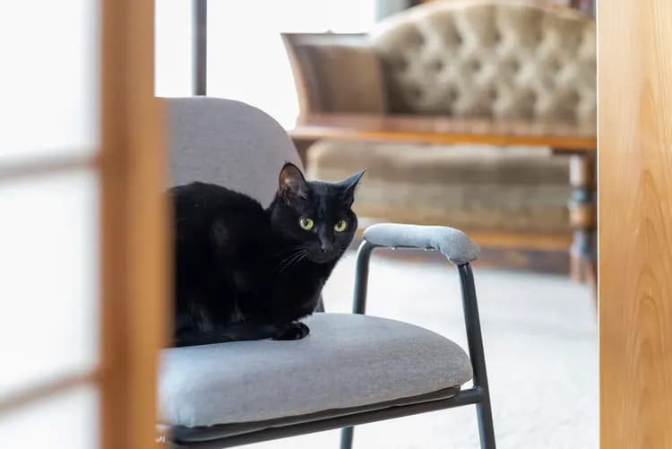 KAWANISHIEN farmhouse 河西園-12